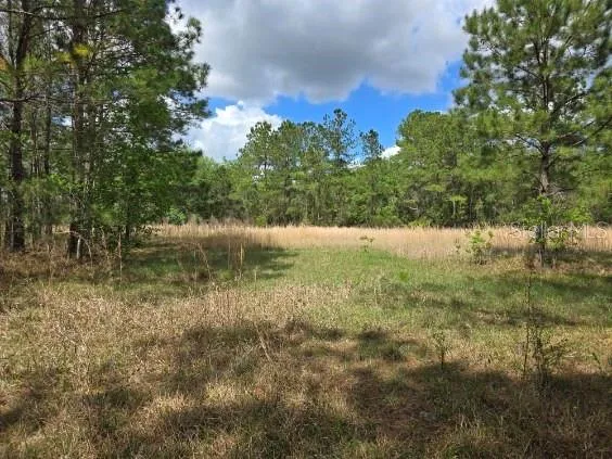 $99,900 | 8878 Southeast 180th Avenue Road, Ocklawaha, FL 32179