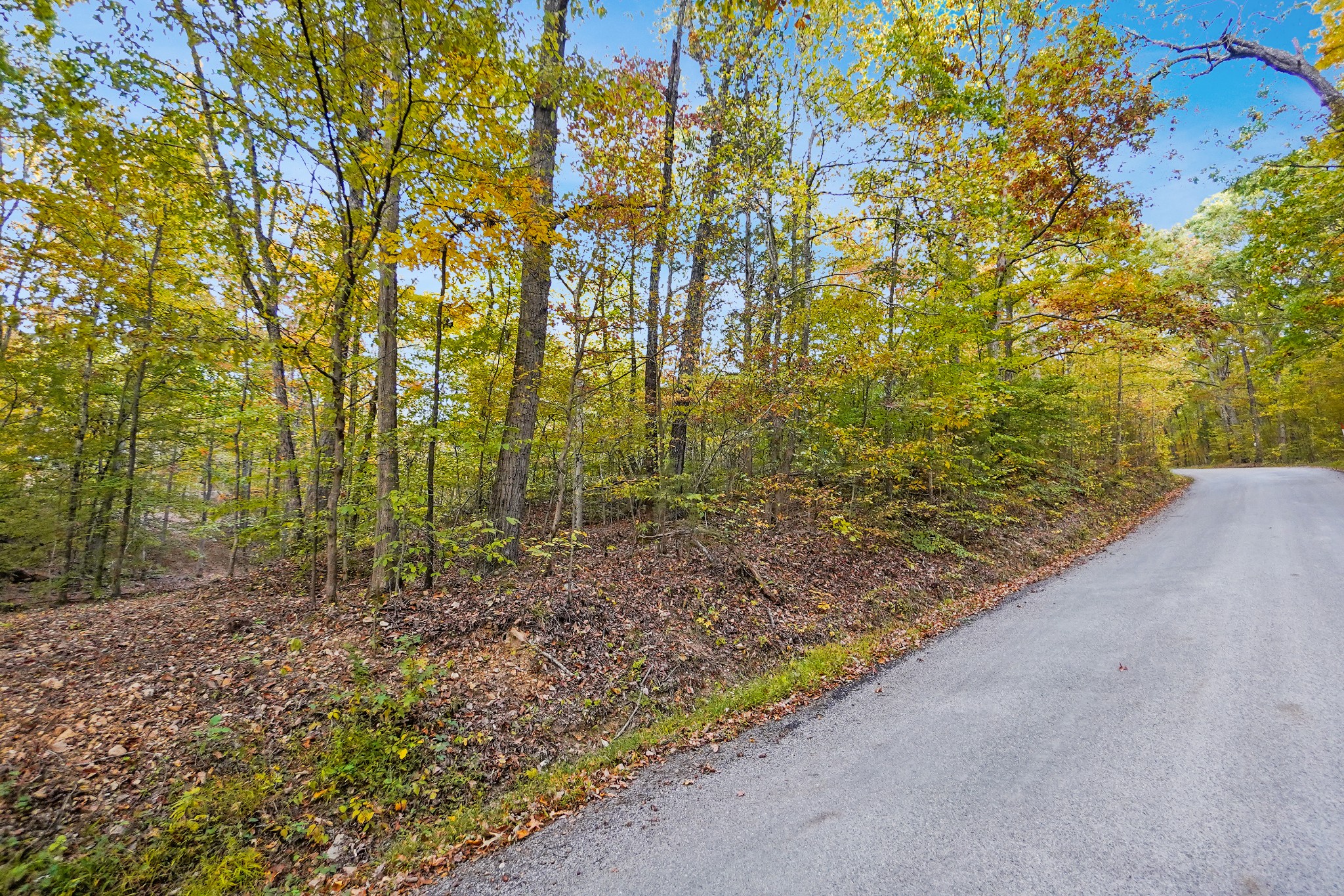 2 Cox Hollow Road Dover, TN 37058 - Photo 3 of 18 Gallery Image 3