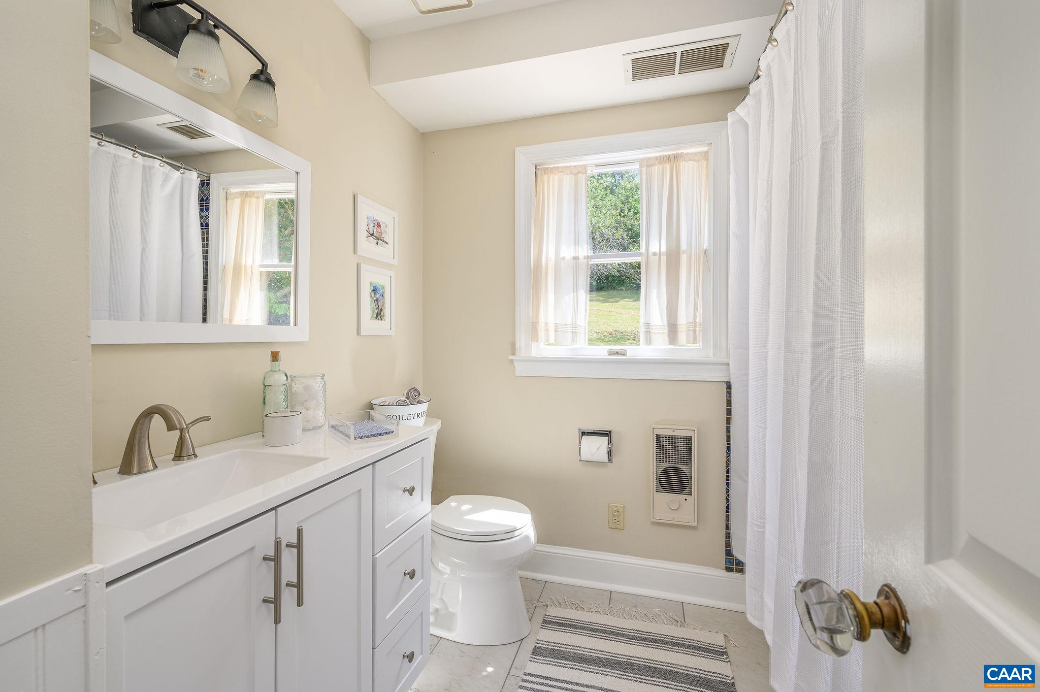 965 Nether Springs Road Afton, VA 22920 - Photo 17 of 38 a bathroom with a sink a toilet and shower
