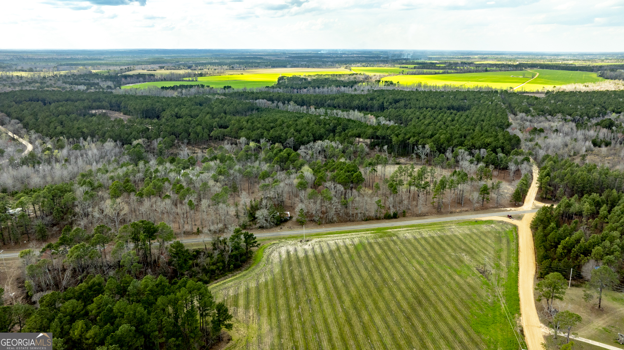 13463 Cowart Pond Road Metter, GA 30439 - Photo 3 of 21