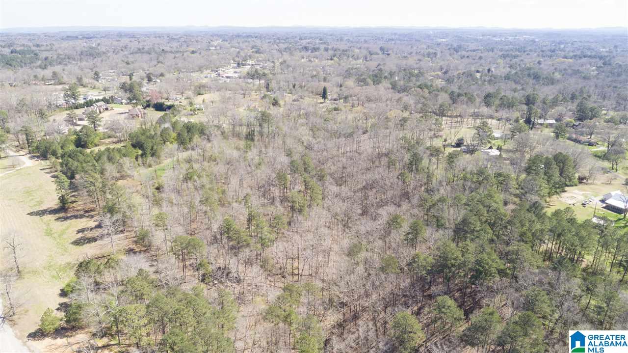 850 Rosemary Way Mount Olive, AL 35117 - Photo 11 of 12