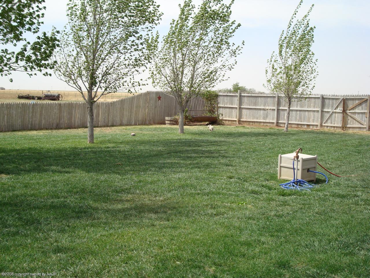 15750 Cavin Road Amarillo, TX 79119 - Photo 16 of 17 Backyard