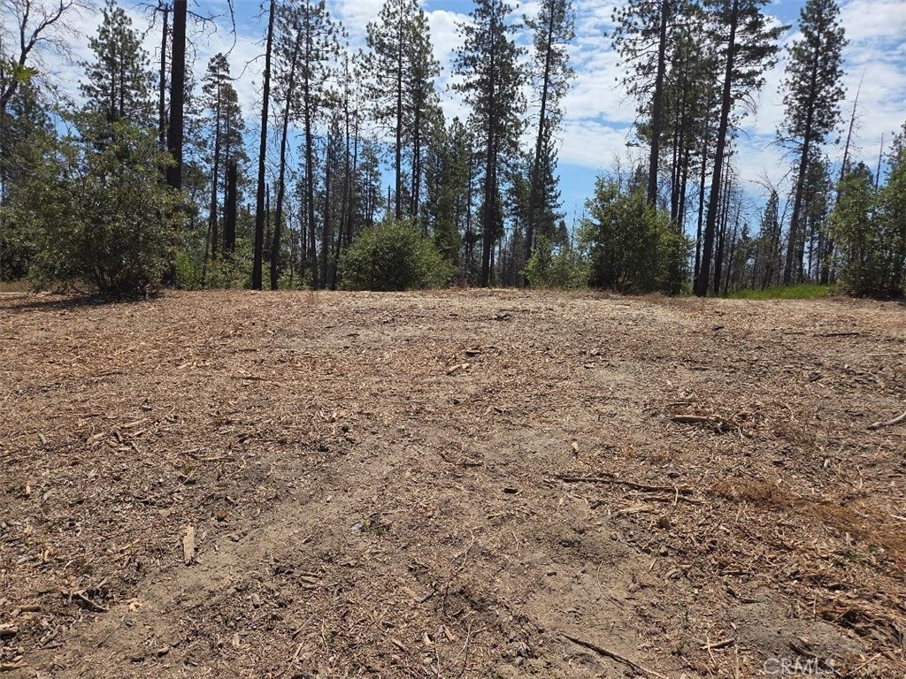 1090 Bald Rock Road Berry Creek, CA 95916 - Photo 1 of 10 a view of large yard with trees