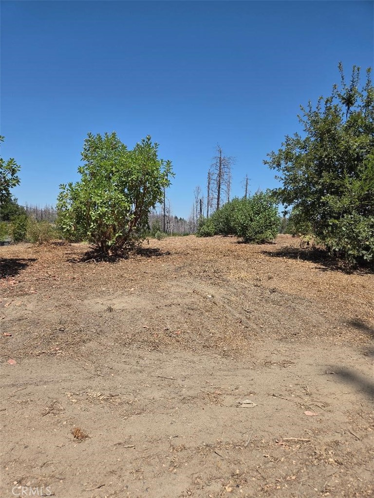 1090 Bald Rock Road Berry Creek, CA 95916 - Photo 5 of 10 a view of a dirt road with a building in the background