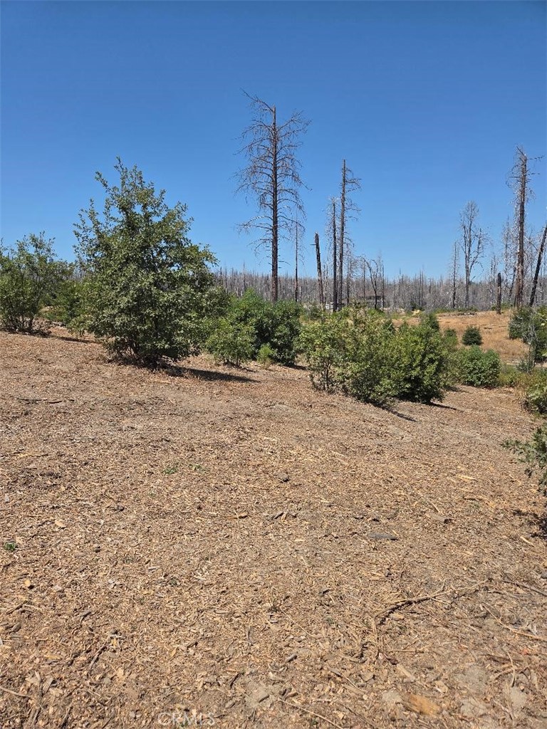 1090 Bald Rock Road Berry Creek, CA 95916 - Photo 8 of 10 a view of a garden with a house