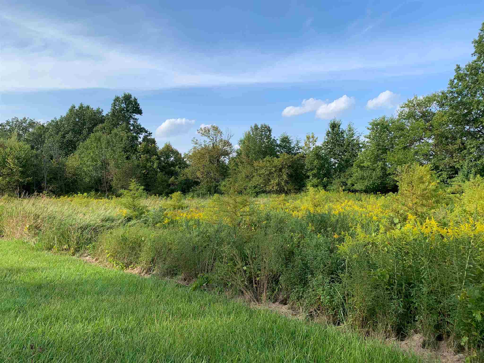 8121 St Joe Road Fort Wayne, IN 46835 - Photo 5 of 13 Gallery Image 5