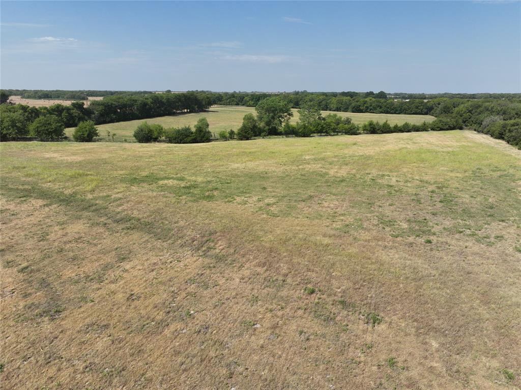 Tbd Rutledge Road Bells, TX 75414 - Photo 13 of 18 Gallery Image 13
