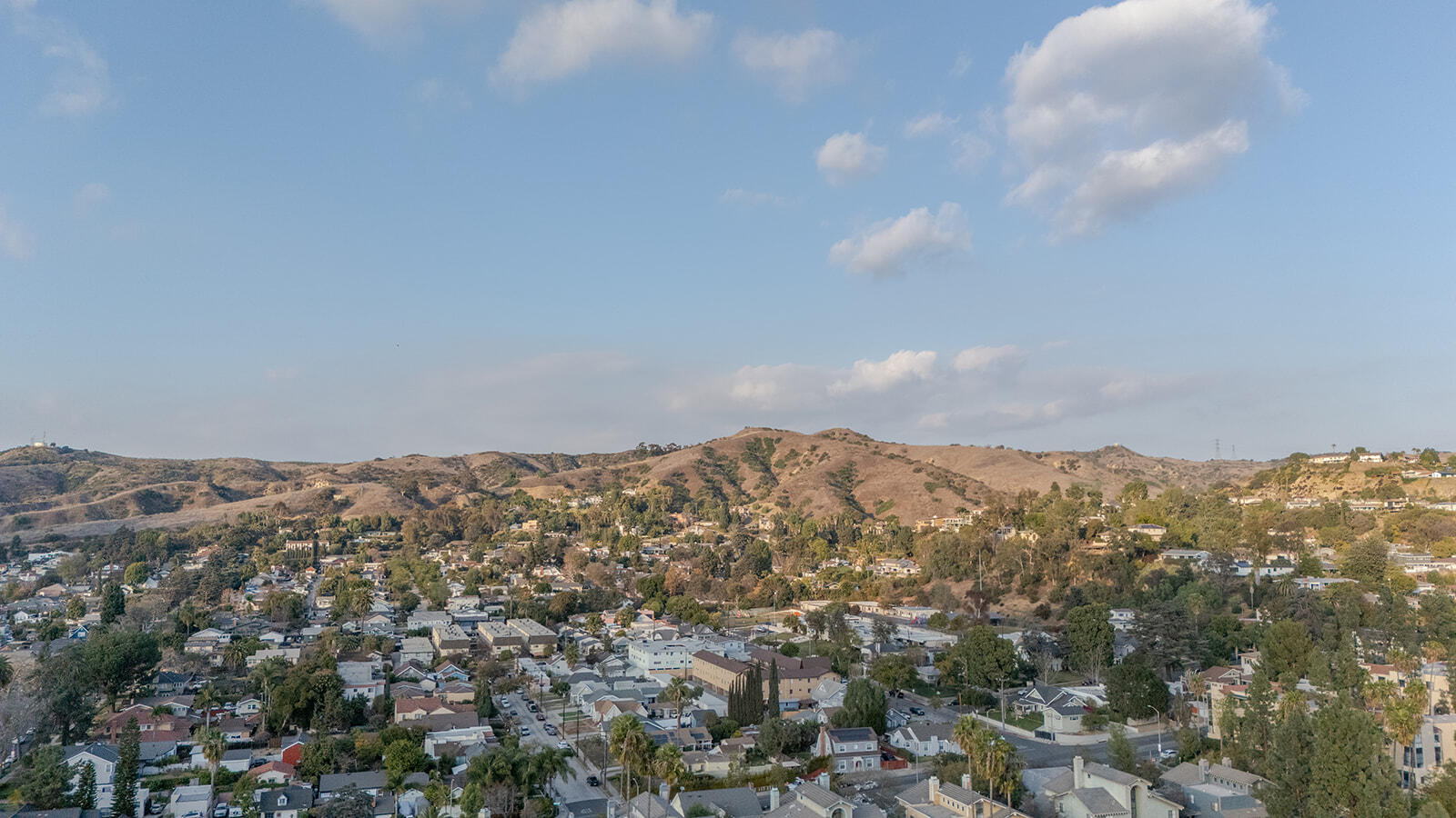 13429 Bailey Street Whittier, CA 90601 - Photo 54 of 54 an aerial view of houses covered in trees