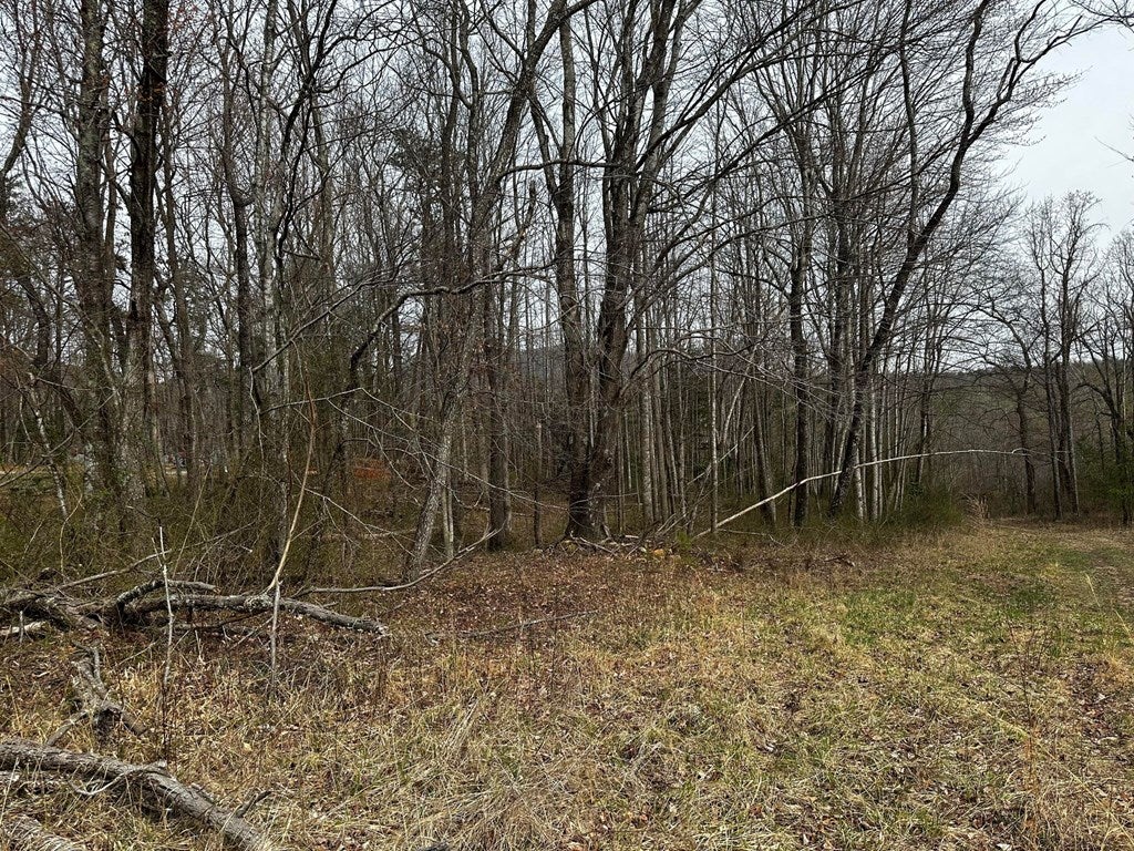 0 Raven Rock Road Ararat, VA 24053 - Photo 5 of 10 Gallery Image 5