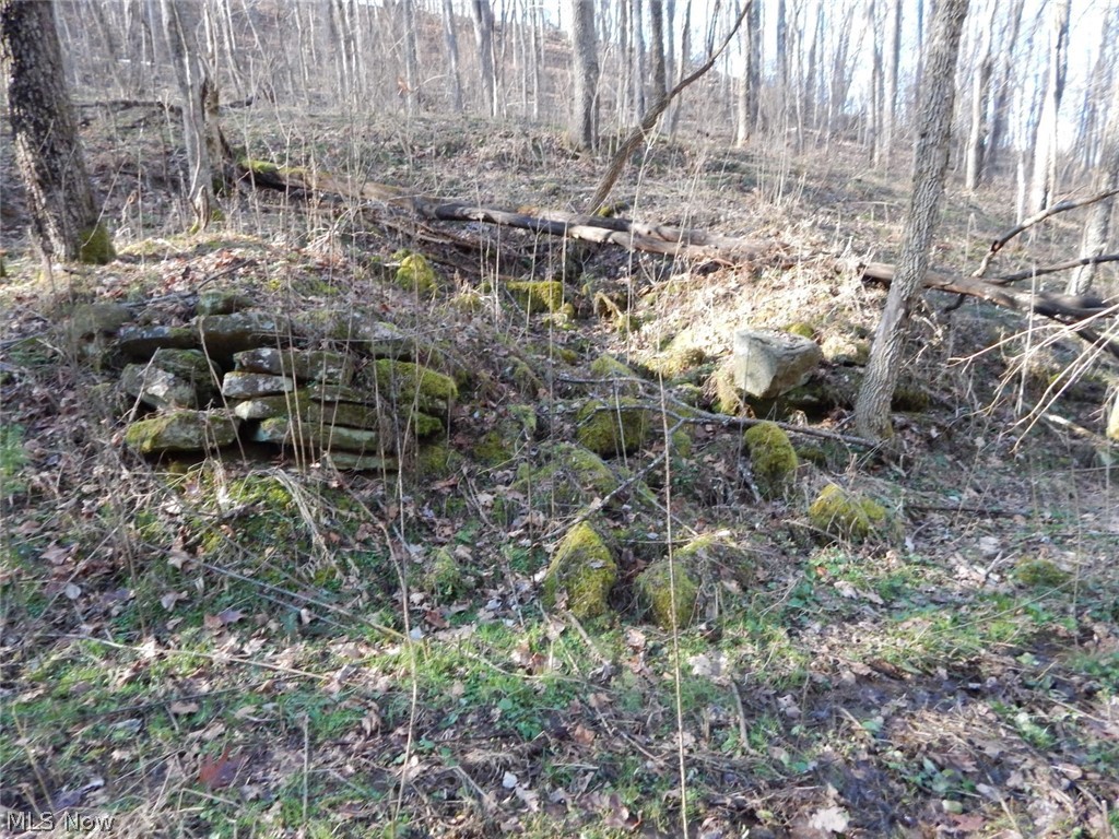 Mt Zion Road Harrisville, WV 26362 - Photo 8 of 23