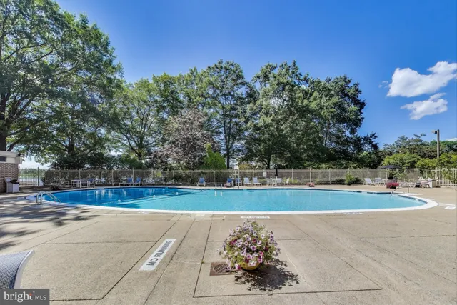 a view of a park with large trees