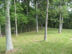 Tbd Port Williams Road Williams, IN 47470 - Photo 1 of 2