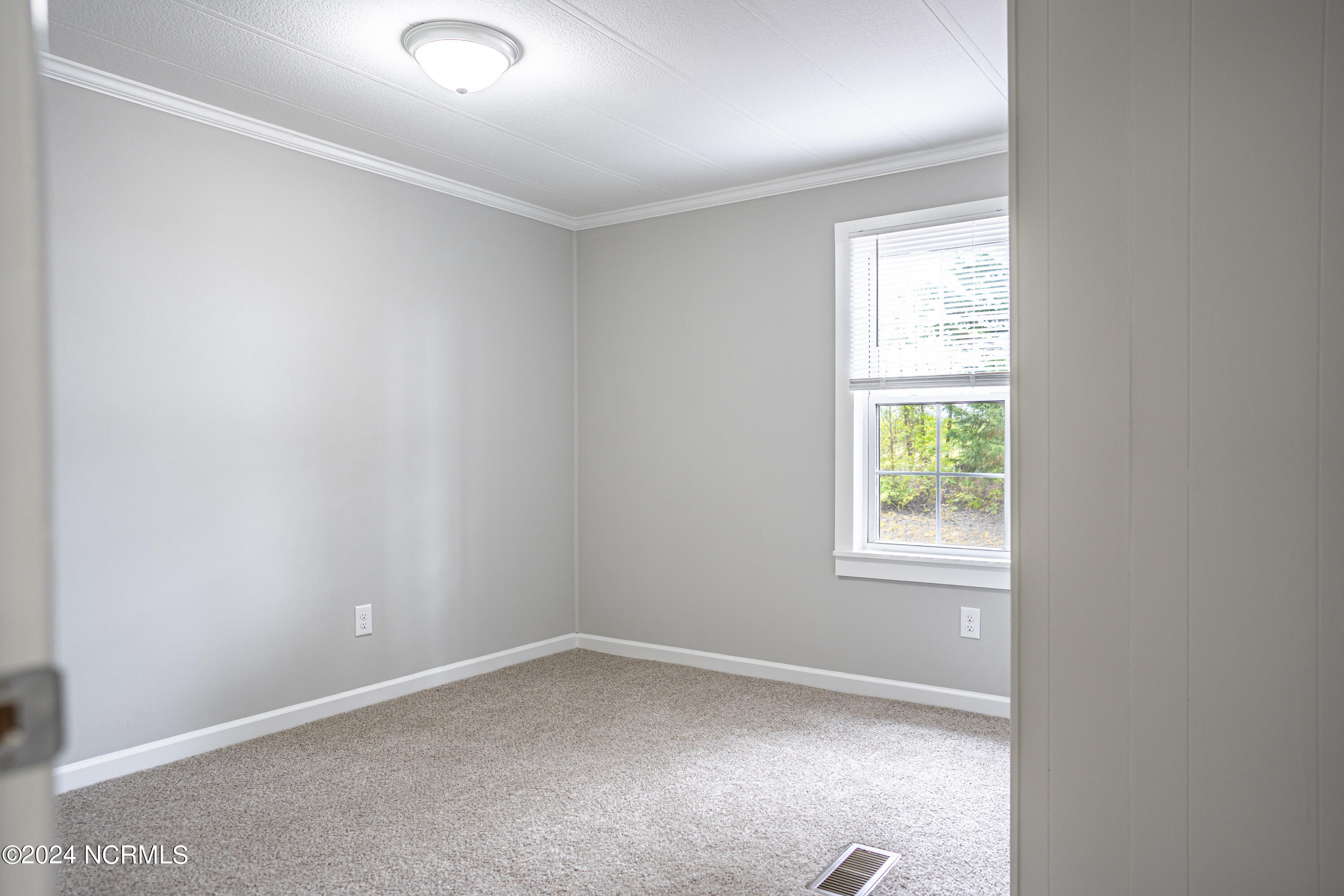 295 Eta Bell Road Eagle Springs, NC 27242 - Photo 38 of 47 DSC03723-Edit