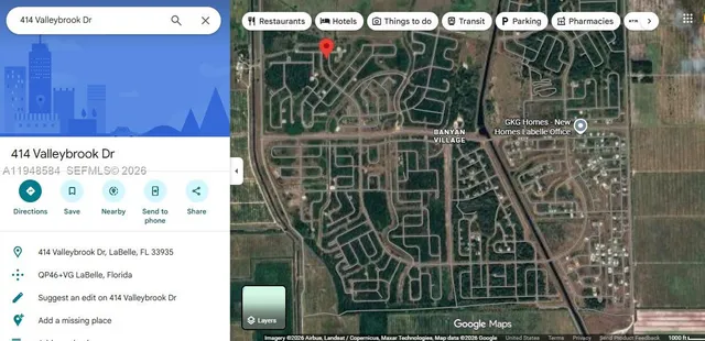 a view of a yard with plants and large trees