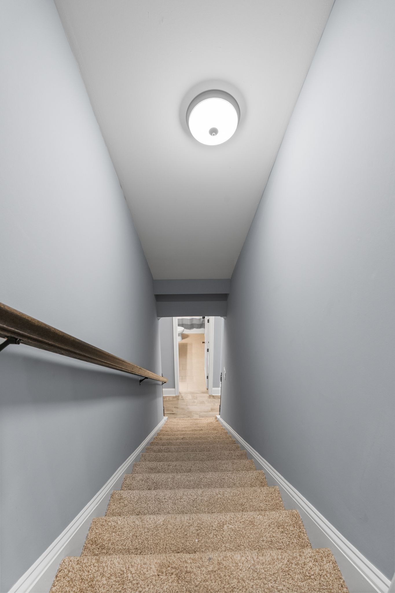 8027 Puddleduck Lane Spring Hill, TN 37174 - Photo 47 of 88