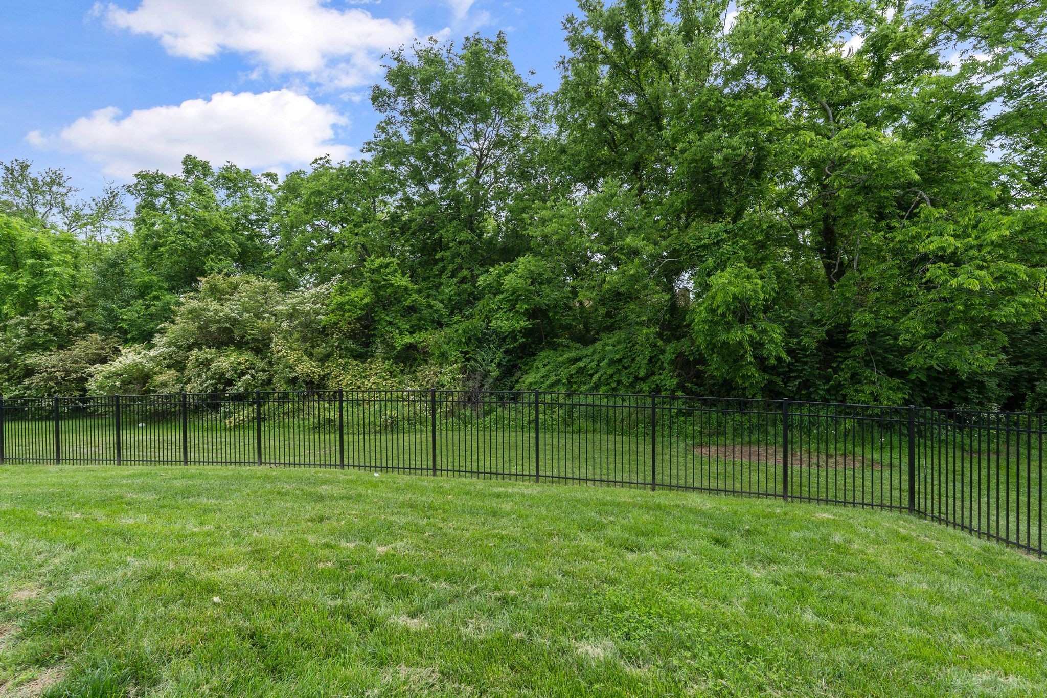 8027 Puddleduck Lane Spring Hill, TN 37174 - Photo 66 of 88