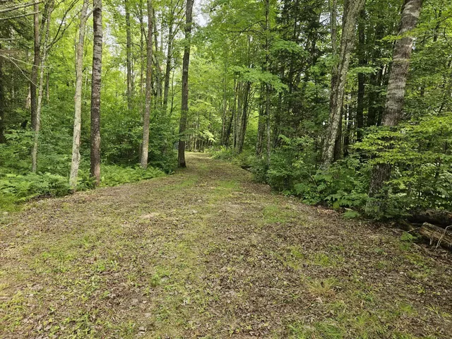 $64,900 | 8110 Koeppler Road, Ojibwa, WI 54862