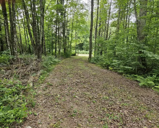 $59,900 | 8110 Koeppler Road, Ojibwa, WI 54862