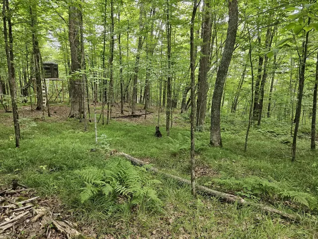 $64,900 | 8110 Koeppler Road, Ojibwa, WI 54862
