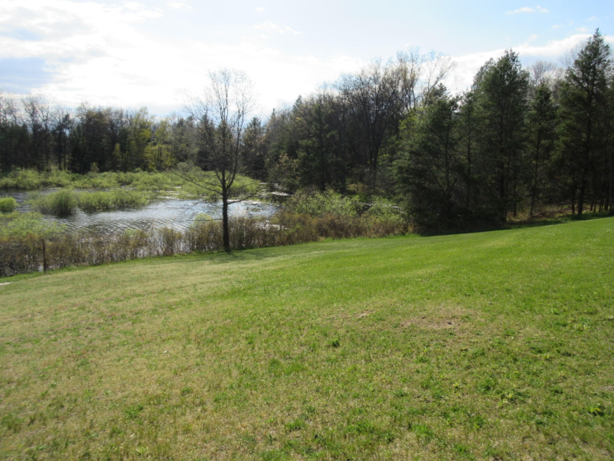8083 Chain Lake Road South Branch, MI 48761 - Photo 13 of 57 IMG_7642