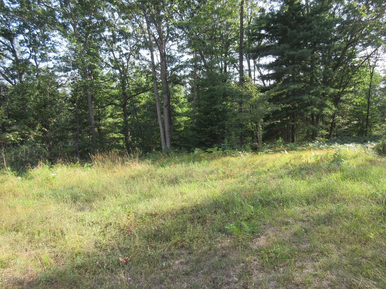 8083 Chain Lake Road South Branch, MI 48761 - Photo 18 of 57 IMG_8393
