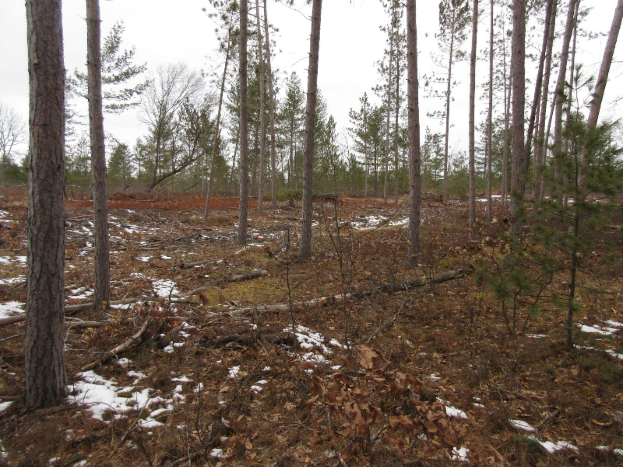 8083 Chain Lake Road South Branch, MI 48761 - Photo 53 of 57 IMG_0244
