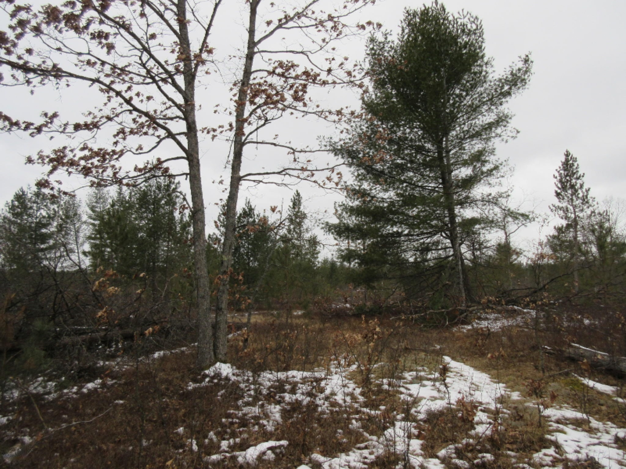 8083 Chain Lake Road South Branch, MI 48761 - Photo 54 of 57 IMG_0248
