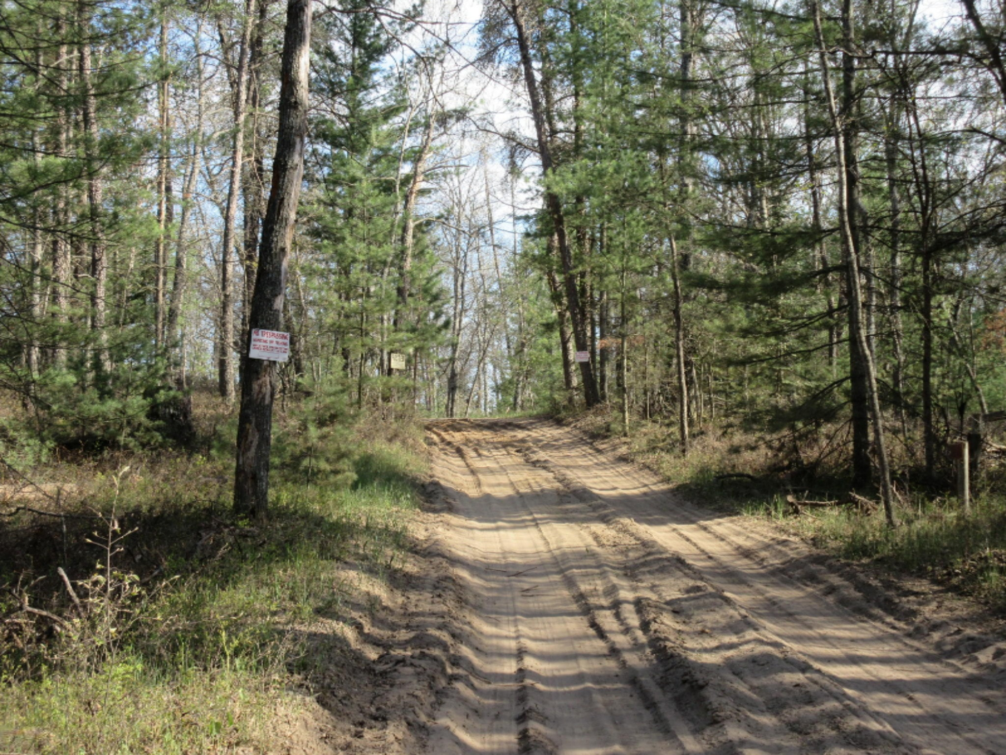 8083 Chain Lake Road South Branch, MI 48761 - Photo 6 of 57 IMG_7627