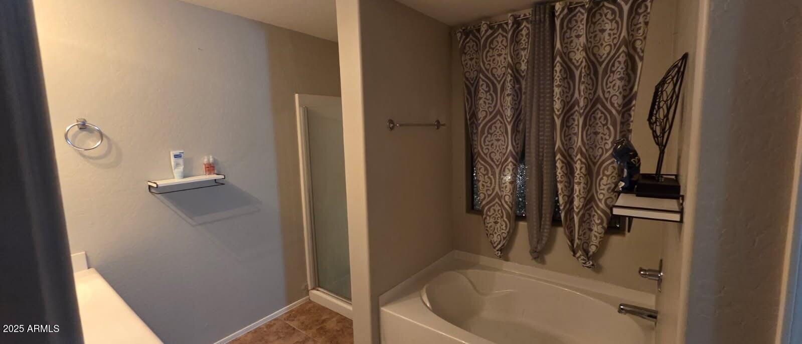 4717 East Redfield Road Gilbert, AZ 85234 - Photo 6 of 13 a bathroom with a bathtub and a shower