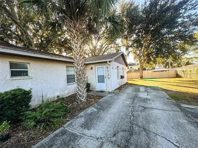 a view of a yard with plants and a tree