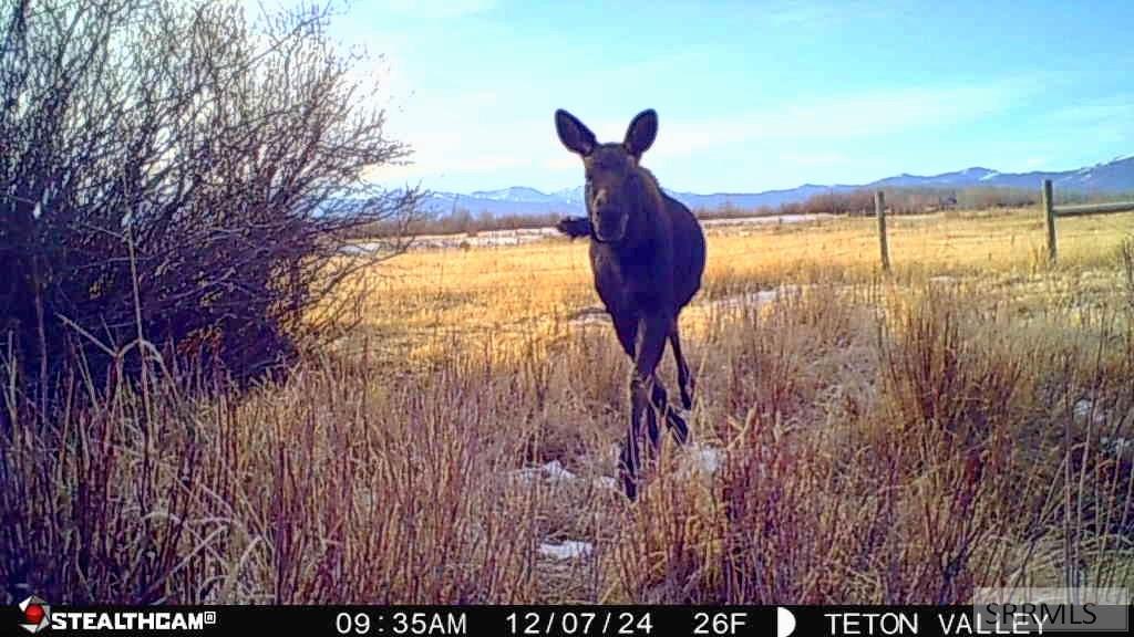 Tbd S South Bates Road Driggs, ID 83422 - Photo 24 of 28