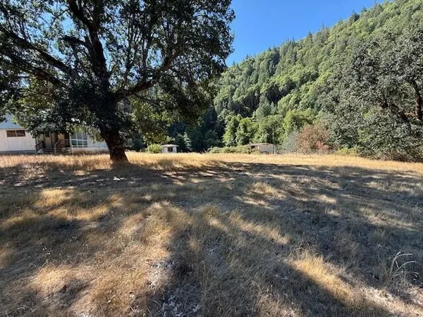 a view of a yard with a tree