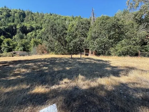 a view of a yard with a tree