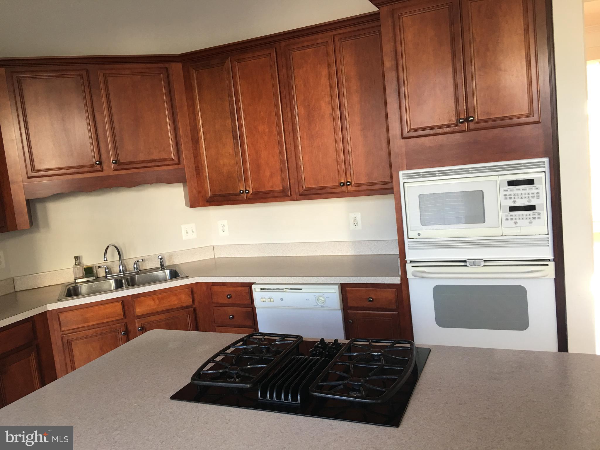 42060 Fremont Preserve Square Aldie, VA 20105 - Photo 38 of 94