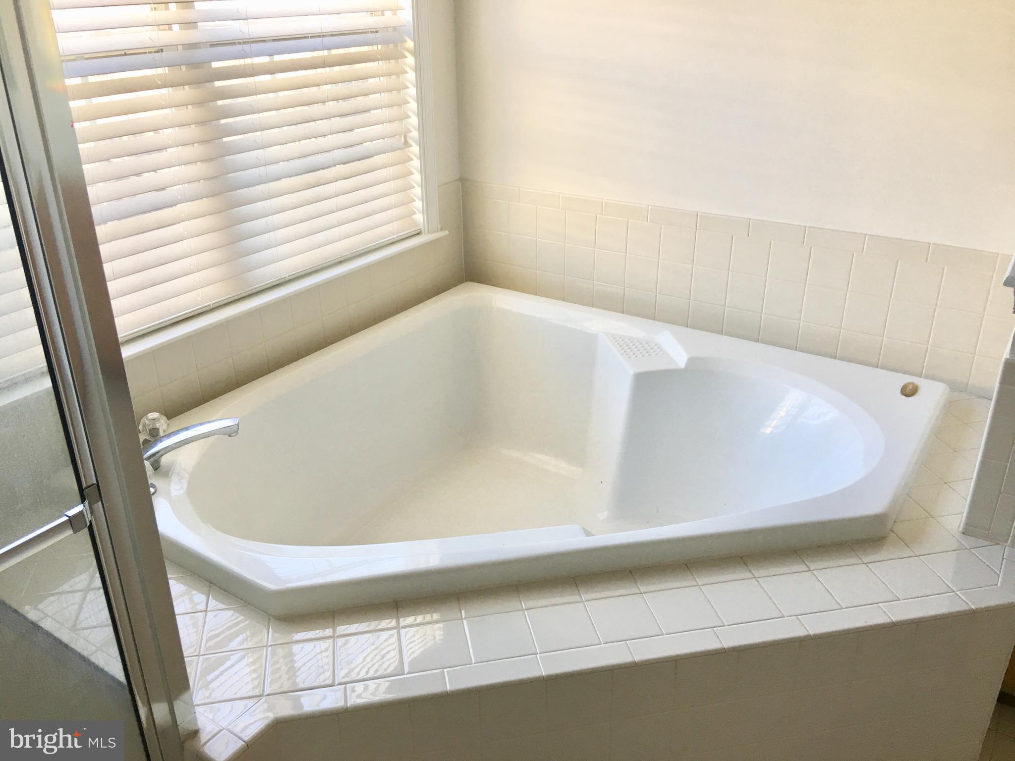42060 Fremont Preserve Square Aldie, VA 20105 - Photo 52 of 94 a bath tub sitting in a bathroom next to a window