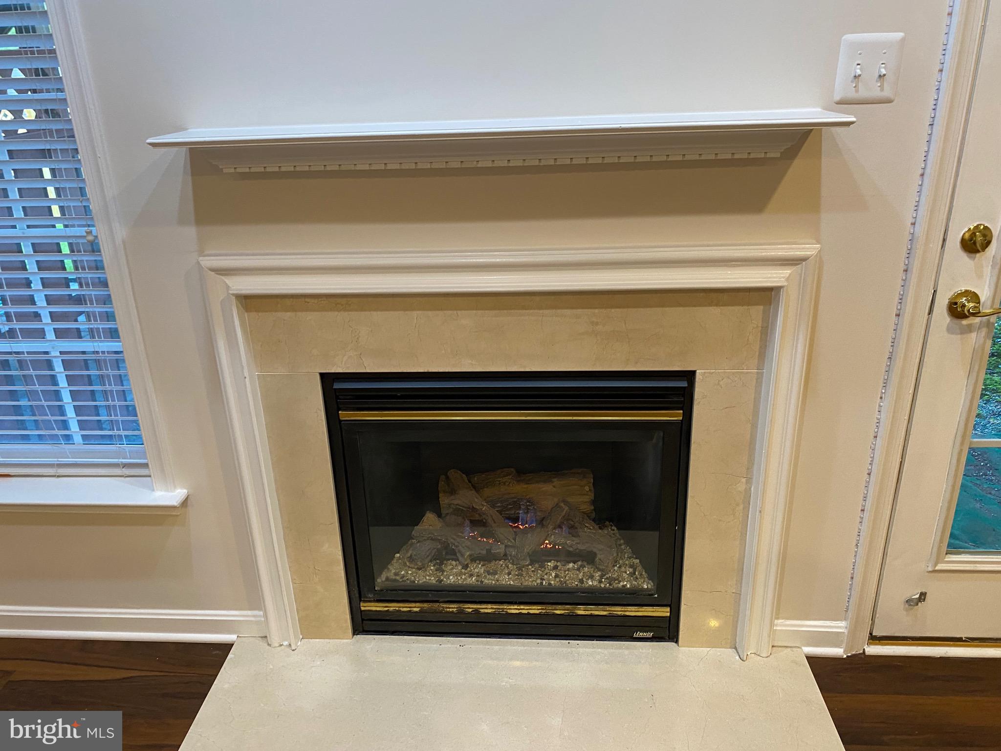 42060 Fremont Preserve Square Aldie, VA 20105 - Photo 67 of 94 a close view of a fireplace