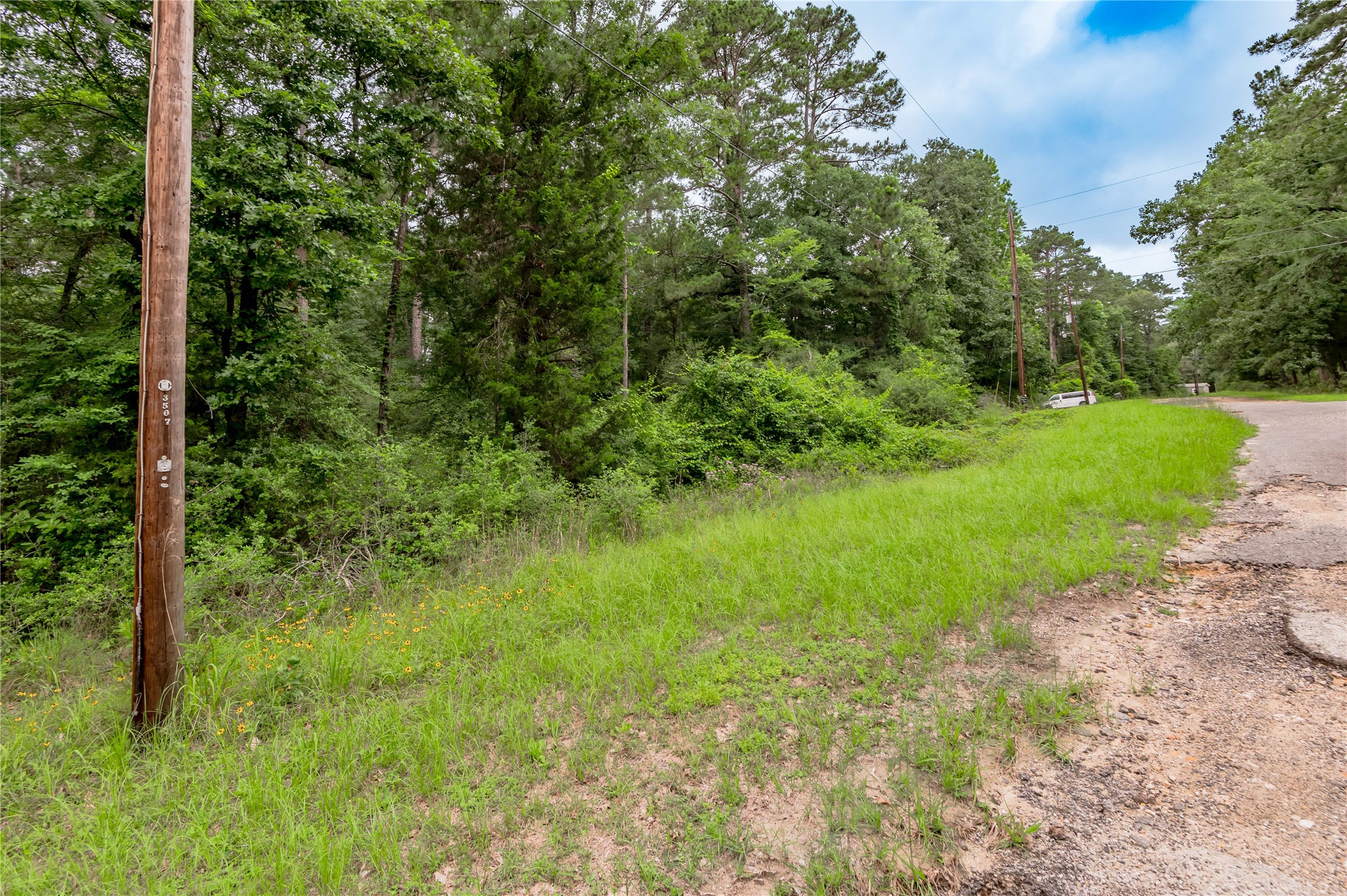 Lot 55 Post Oak Circle Trinity, TX 75862 - Photo 8 of 31