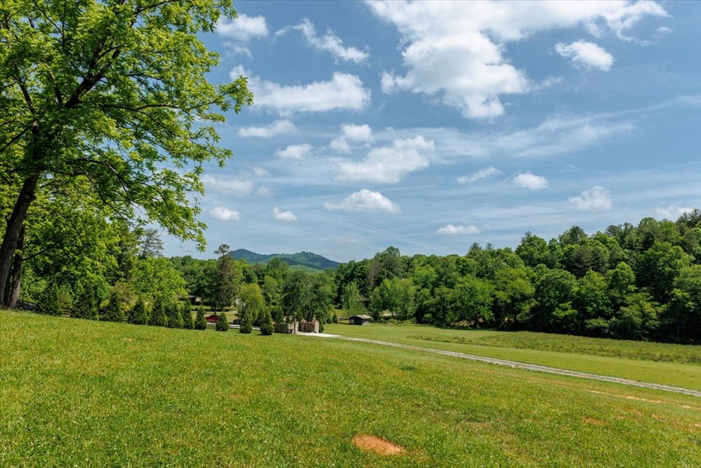 5260 Hardscrabble Road Mineral Bluff, GA 30559 - Photo 18 of 52