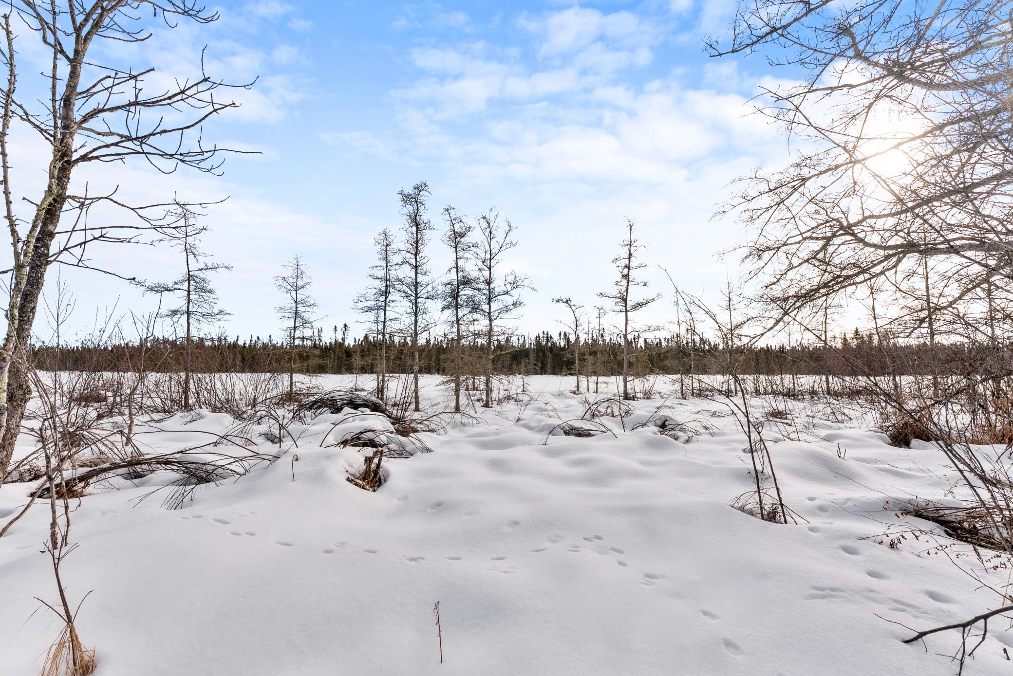 Tbd Eldorado Garrison, MN 56450 - Photo 13 of 16