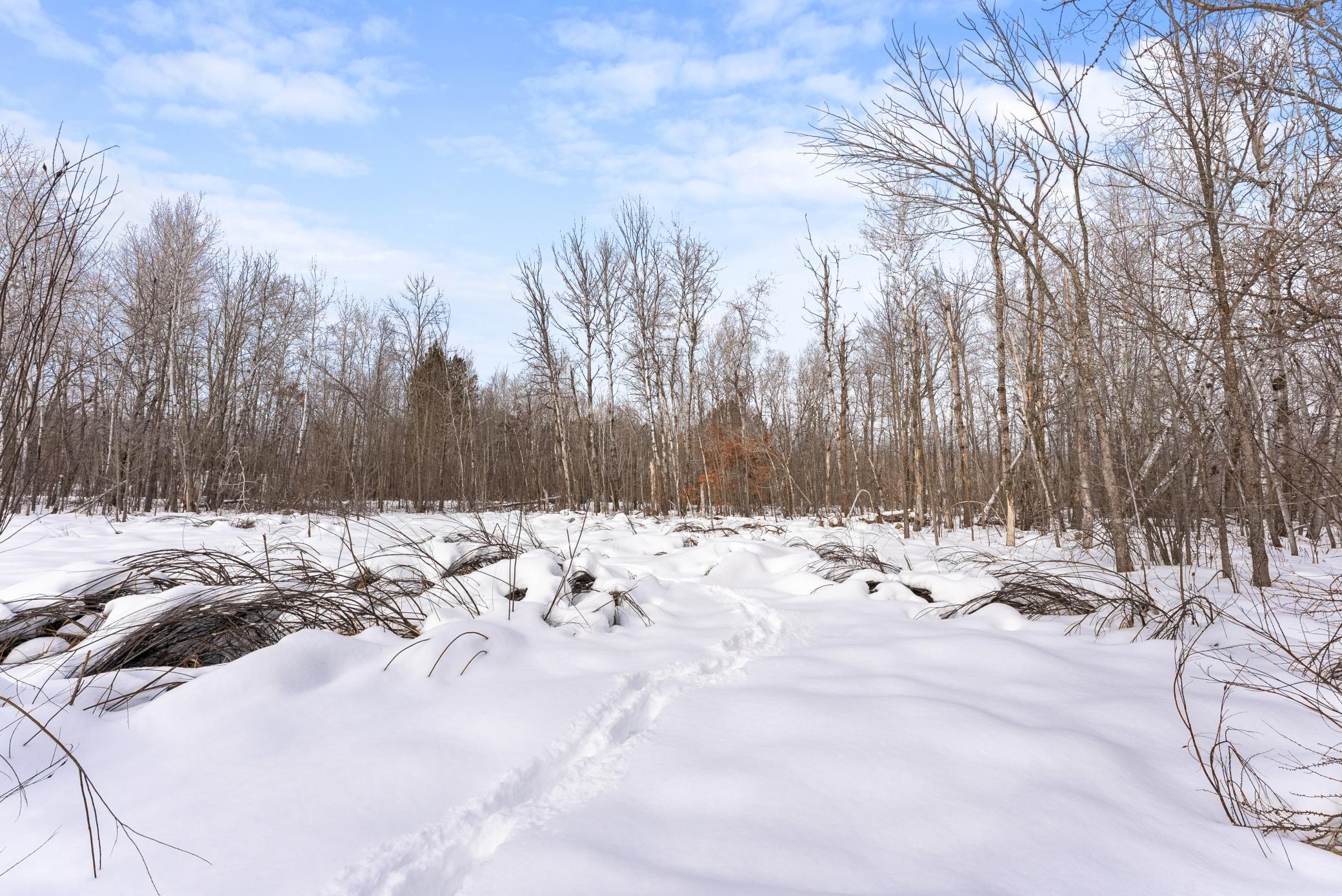 Tbd Eldorado Garrison, MN 56450 - Photo 15 of 16