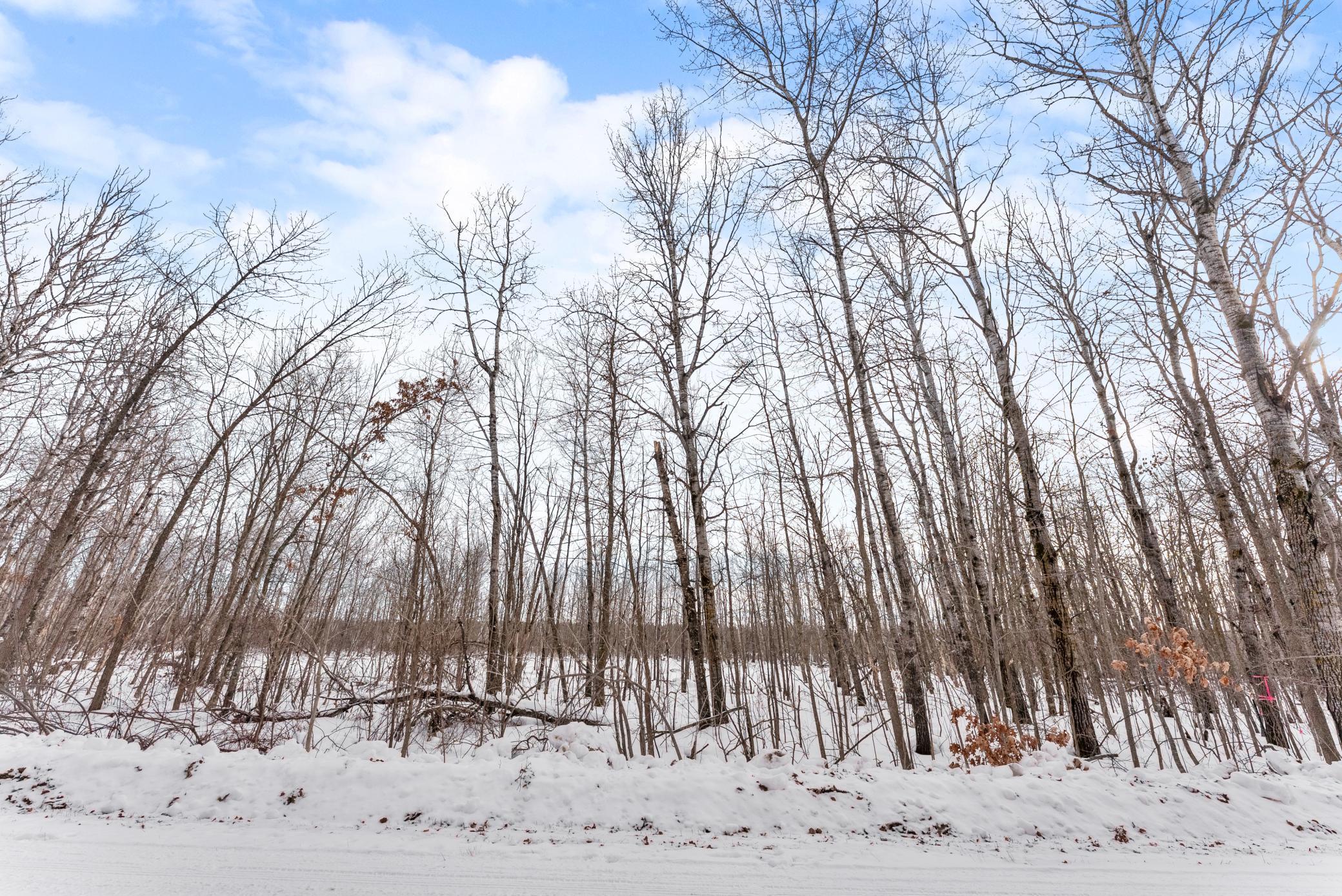 Tbd Eldorado Garrison, MN 56450 - Photo 16 of 16