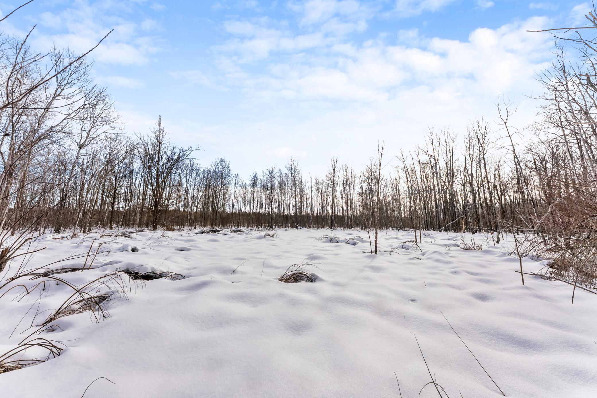 Tbd Eldorado Garrison, MN 56450 - Photo 9 of 16