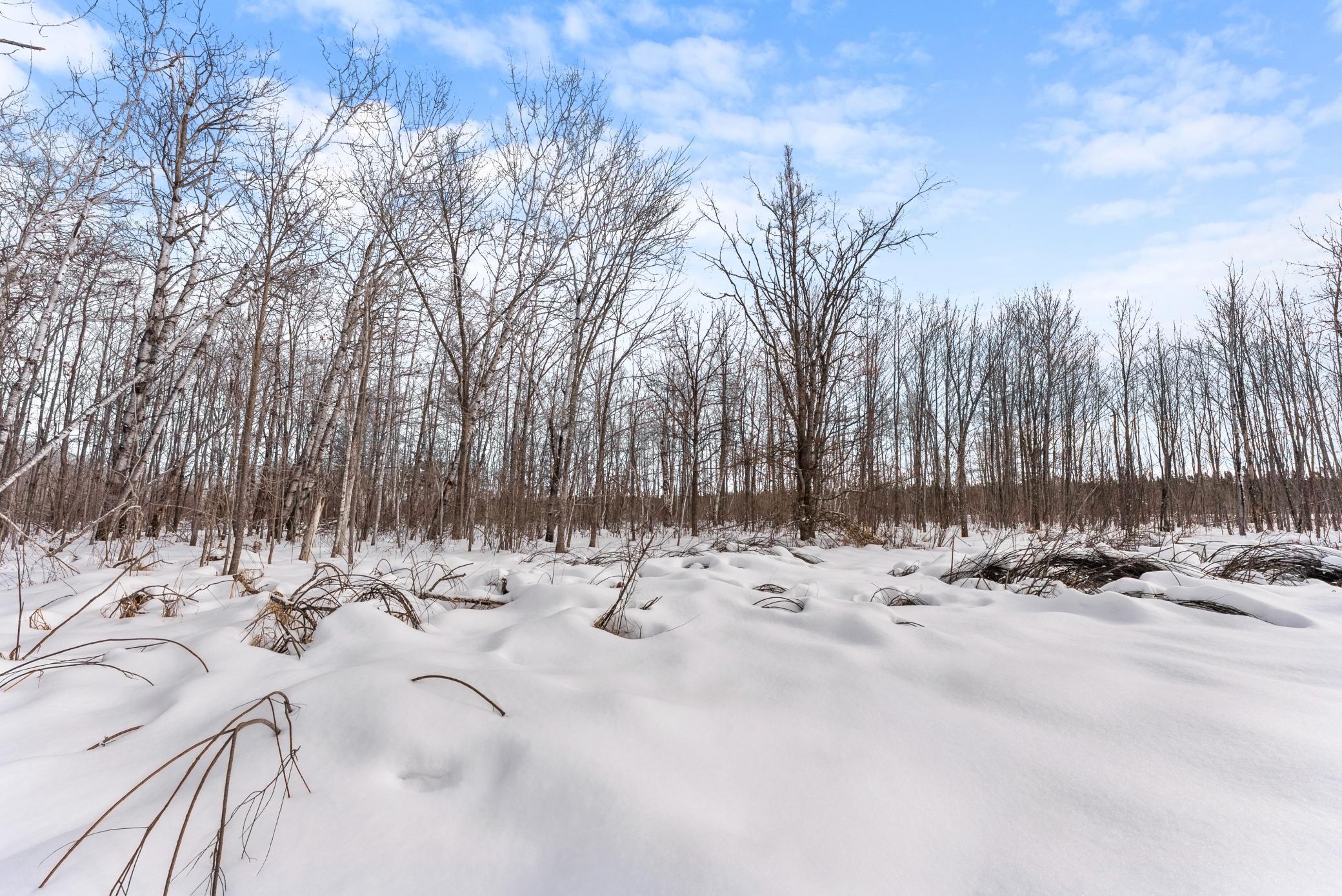 Tbd Eldorado Garrison, MN 56450 - Photo 10 of 16