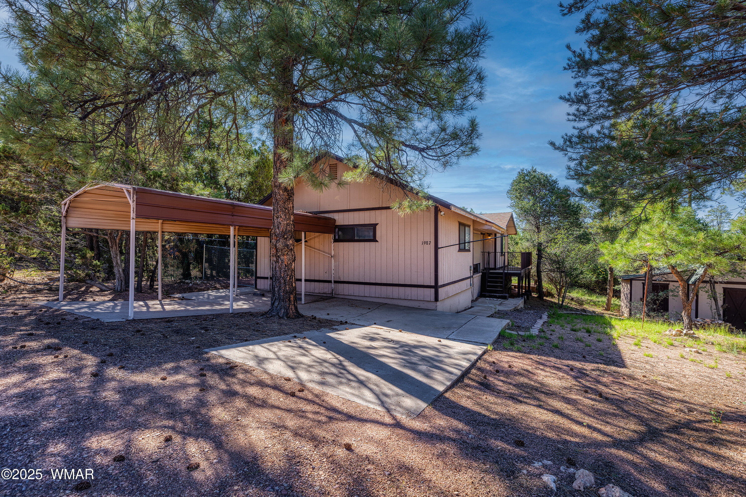 1987 Stagg Run Overgaard, AZ 85933 - Photo 5 of 31 Carport