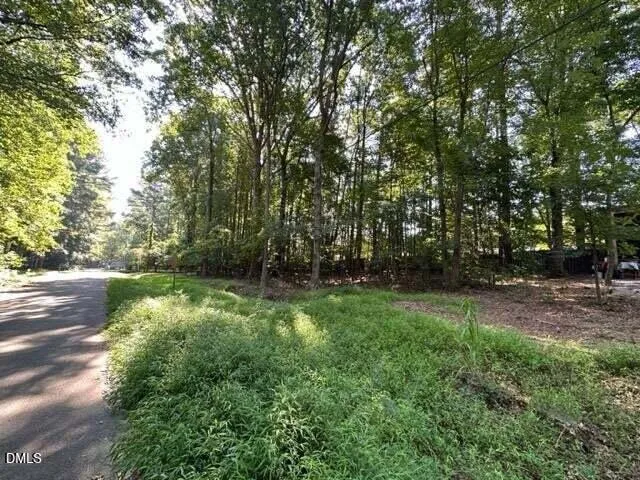 a view of backyard with green space