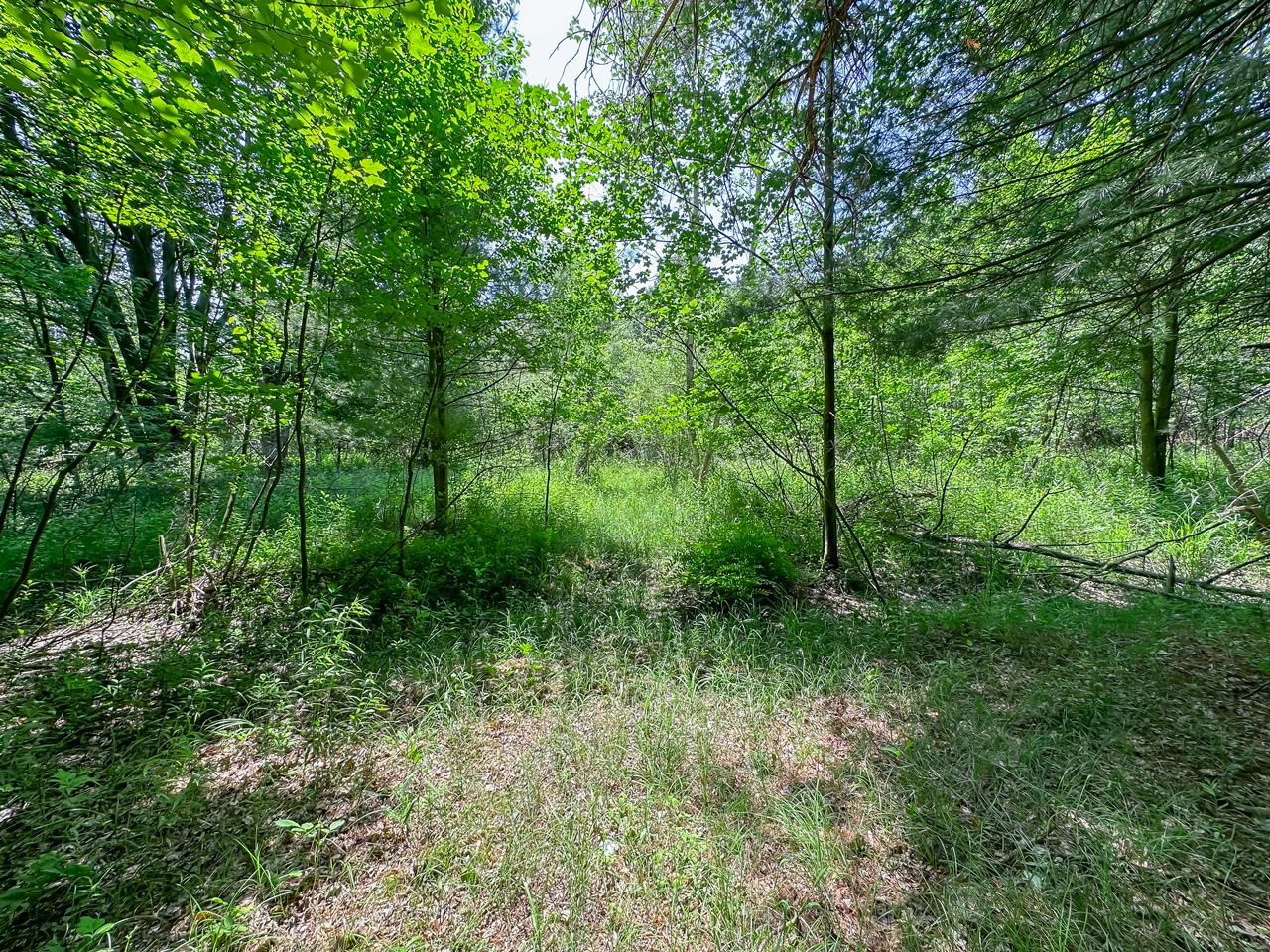 5195 West Fike Road Coleman, MI 48618 - Photo 12 of 27 Gallery Image 12