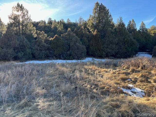 Lot 6016 Forbes Road San Luis, CO 81152 - Photo 11 of 20 a view of a dry yard