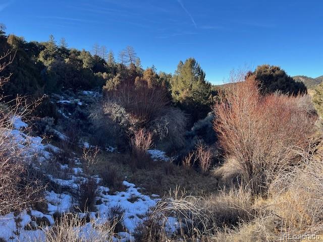 Lot 6016 Forbes Road San Luis, CO 81152 - Photo 13 of 20