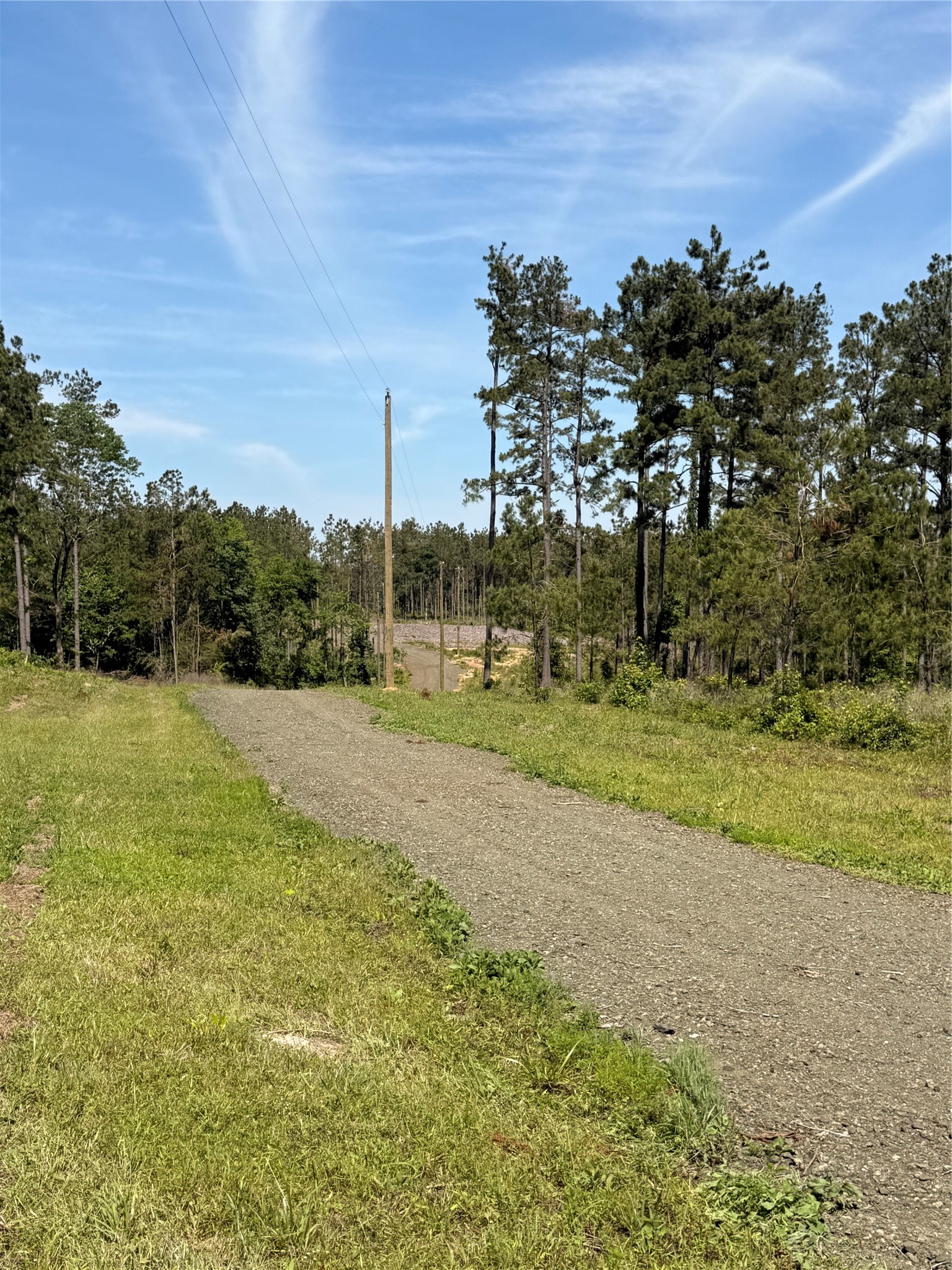492 Piney Creek Estates Road Timpson, TX 75975 - Photo 8 of 9 Gallery Image 8