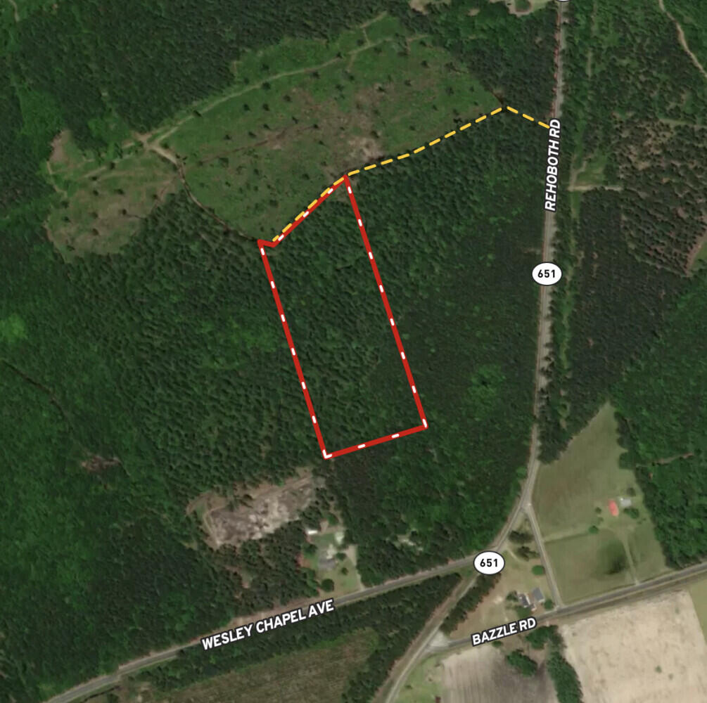 12 Rehoboth Road Cottageville, SC 29435 - Photo 2 of 10 6799582683ccd